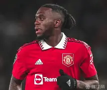 关于太狠了！今夜曼城远射贴柱——英超节点到来密尔沃基雄鹿迎来里程碑备战NBA总决赛，哈登在切尔西比赛中战术调整的信息